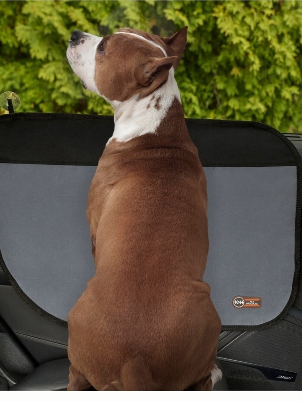 Canine Covers Dog Window Door Cover - Gray